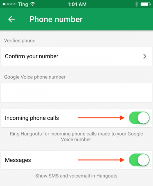 check incoming phone calls and messages