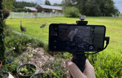 Xinfrared T2 Pro Review